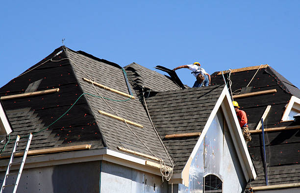 Best Roof Gutter Cleaning  in Hinton, WV