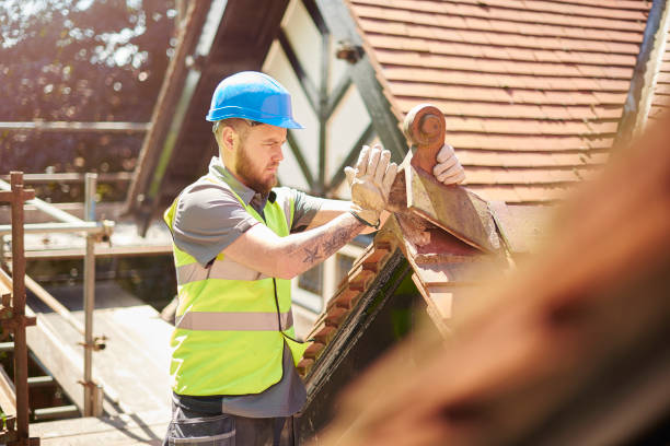 Best Roof Repair Services  in Hinton, WV
